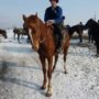 kirguistan-invierno-womviajes9